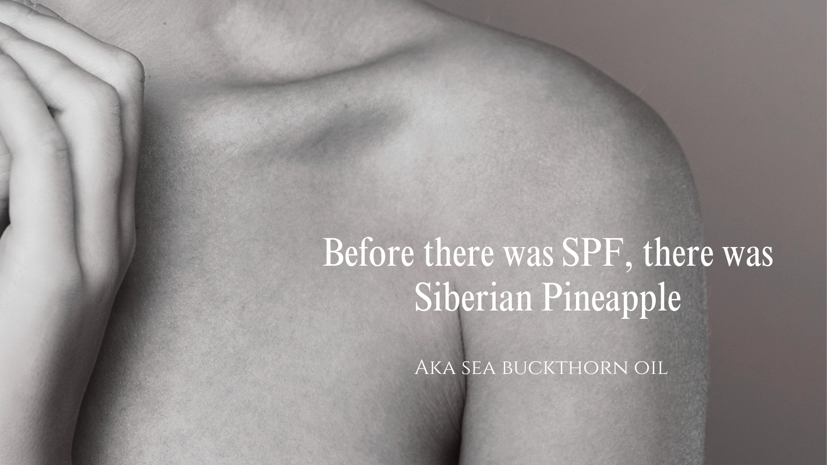 Before there was SPF, there was Siberian Pineapple