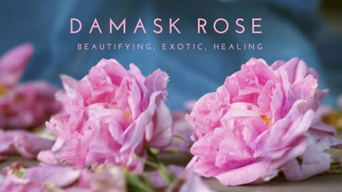 Damask Rose and your skin