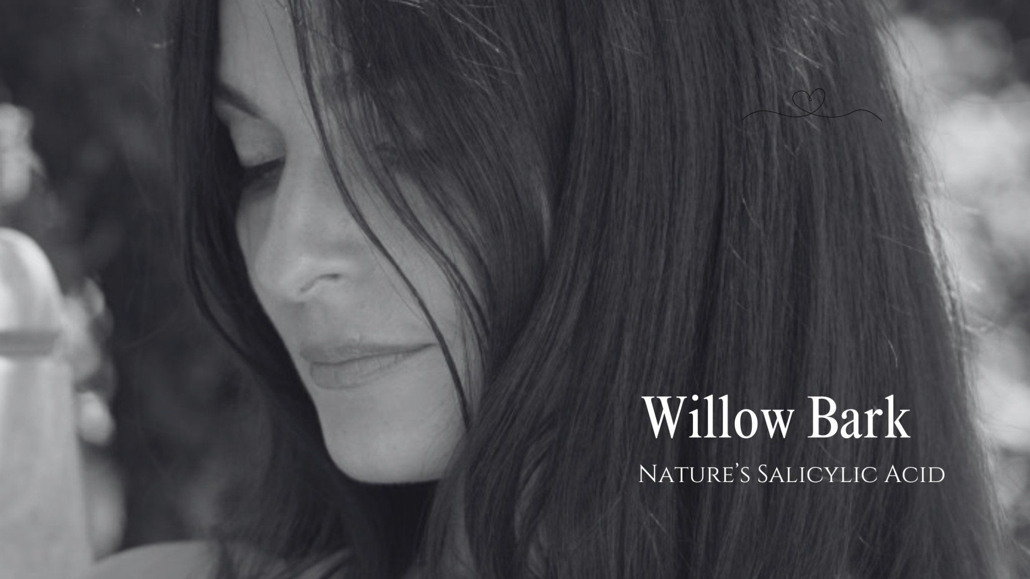 Willow Bark Extract - Nature's Salicylic Acid - Gressa Skin